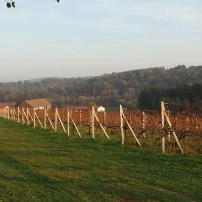 Wyjazd terenowy Łososina Dolna, Żmiąca, Łazy 23.10.19 r