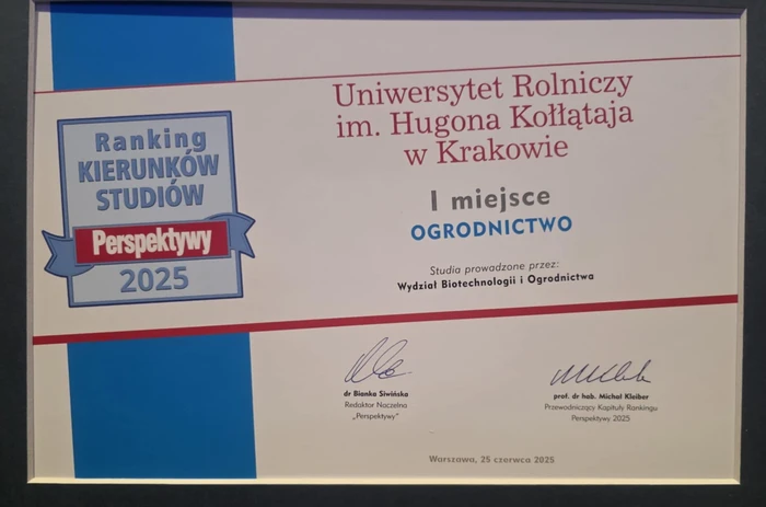 grafika ilustracyjna