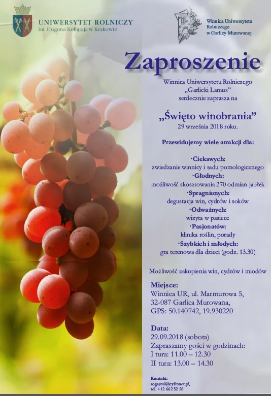 Święto winobrania