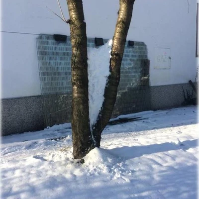 Sztuka Ziemi