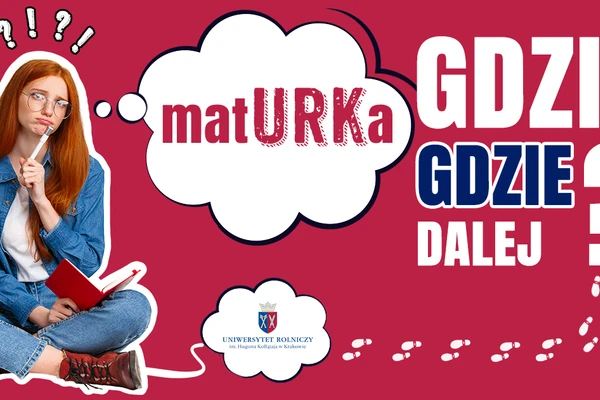 grafika ilustracyjna