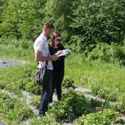 Biologia  Kwitnienia Roślin Ogrodniczych