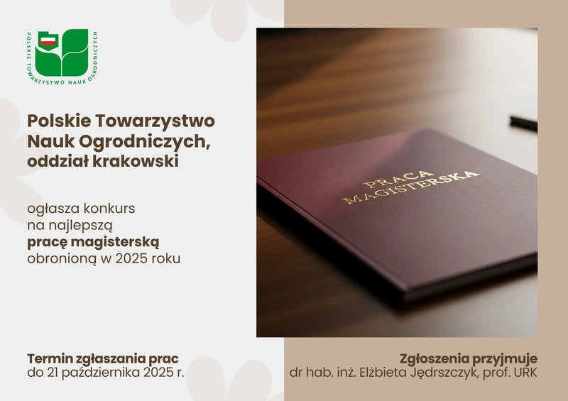 grafika ilustracyjna