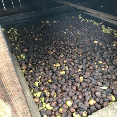 Ćwiczenia terenowe Łososina - Żmiąca - Łazy