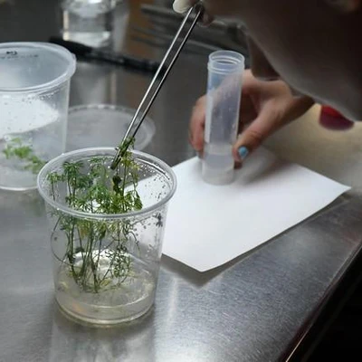 Noc naukowców na Wydziale Biotechnologii i Ogrodnictwa 30.09.2016 r.