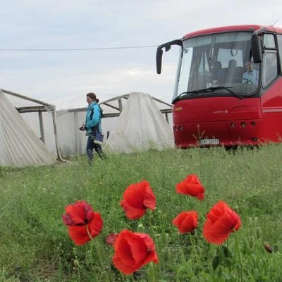 Warsztaty ekologiczne Radom-Chwałowice