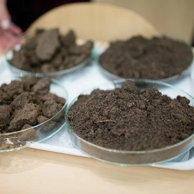 Wykład dla młodzieży gimnazjalnej. Land degradation.