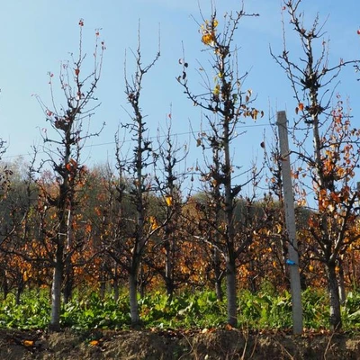 Wyjazd terenowy Łososina Dolna, Żmiąca, Łazy 23.10.19 r