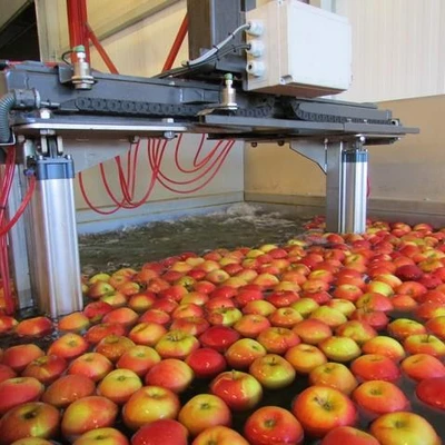 Zajęcia terenowe w Łososinie dolnej (Sadownicza Spółdzielnia Handlowa Łososina i firma Agrotex) oraz w Żmiącej (Gospodarstwo Ogrodnicze Łukasza Nowaka) dla studentów kierunków Ogrodnictwo oraz Jakość i bezpieczeństwo żywności