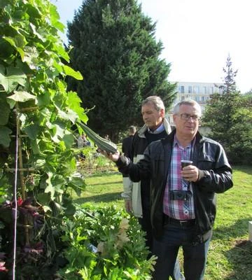 5th International Horticulture Conference, Nitra 21-23.09.16