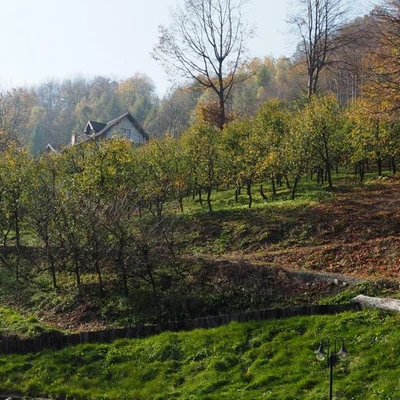 Wyjazd terenowy Łososina Dolna, Żmiąca, Łazy 23.10.19 r