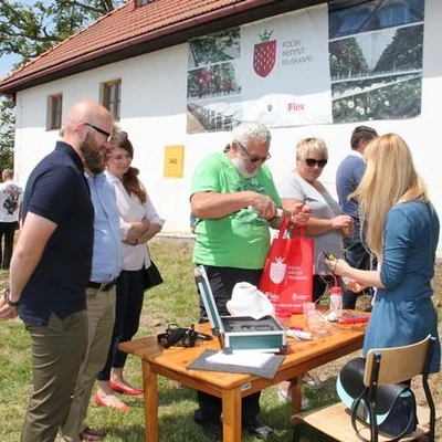 Święto kwitnącej truskawki