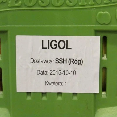 Wyjazd studyjny do Łososiny i Żmiącej, 19 października 2016 r.
