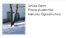 Sztuka ziemi