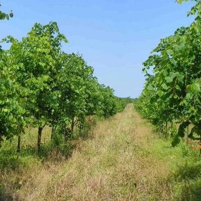 Ćwiczenia terenowe