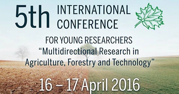 International Conference for Young Researchers