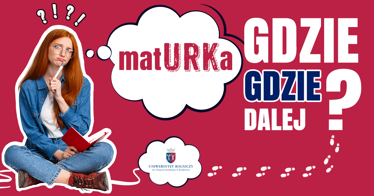 grafika ilustracyjna