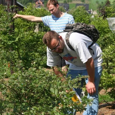 Biologia  Kwitnienia Roślin Ogrodniczych