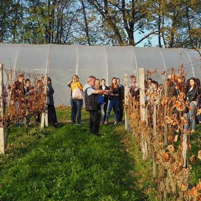 Wyjazd terenowy Łososina Dolna, Żmiąca, Łazy 23.10.19 r