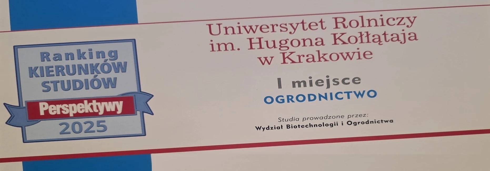 grafika ilustracyjna