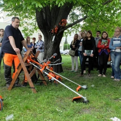 Rośliny ozdobne w środowisku człowieka