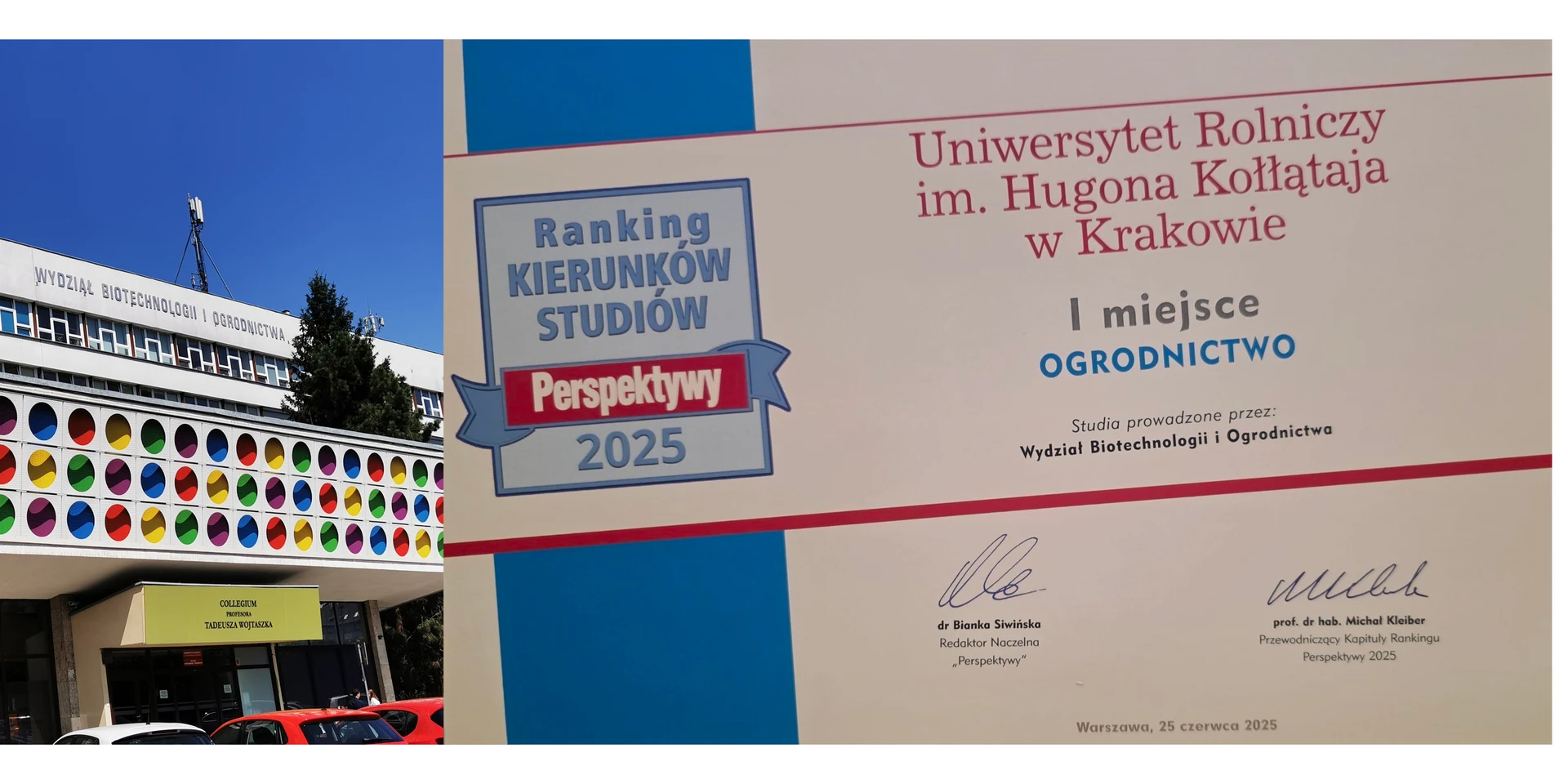 grafika ilustracyjna