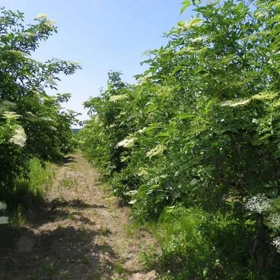 Ćwiczenia terenowe