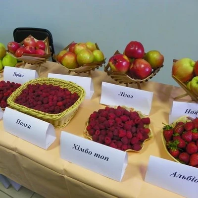Konferencja Naukowo-Praktyczna