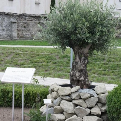 Muszyńskie Ogrody Biblijne