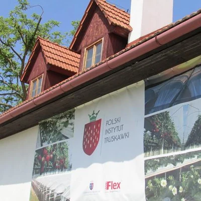 Święto kwitnącej truskawki