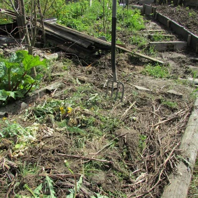 Warsztaty z permakultury, Lechnica na Słowacji 10-12.05.2019