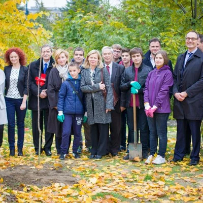 Projekt 