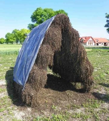 Ćwiczenia terenowe