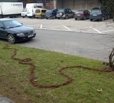 Sztuka Ziemi