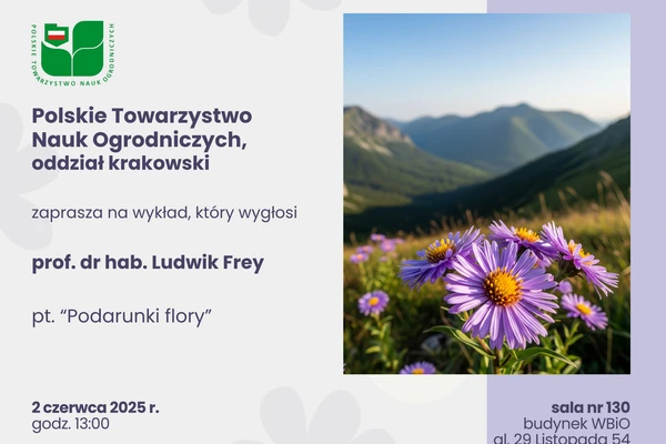 grafika ilustracyjna