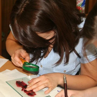 Biologia kwitnienia roślin ogrodniczych
