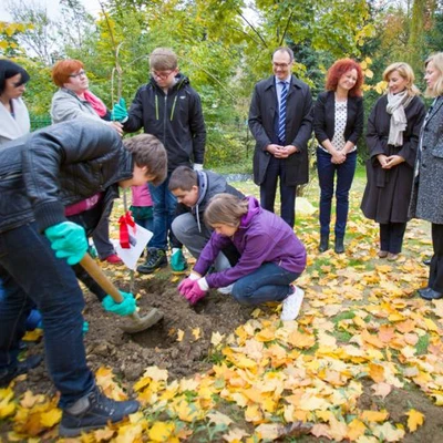 Projekt 