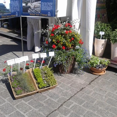 Festiwal Nauki 2014