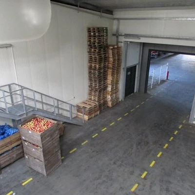 Zajęcia terenowe w Łososinie dolnej (Sadownicza Spółdzielnia Handlowa Łososina i firma Agrotex) oraz w Żmiącej (Gospodarstwo Ogrodnicze Łukasza Nowaka) dla studentów kierunków Ogrodnictwo oraz Jakość i bezpieczeństwo żywności